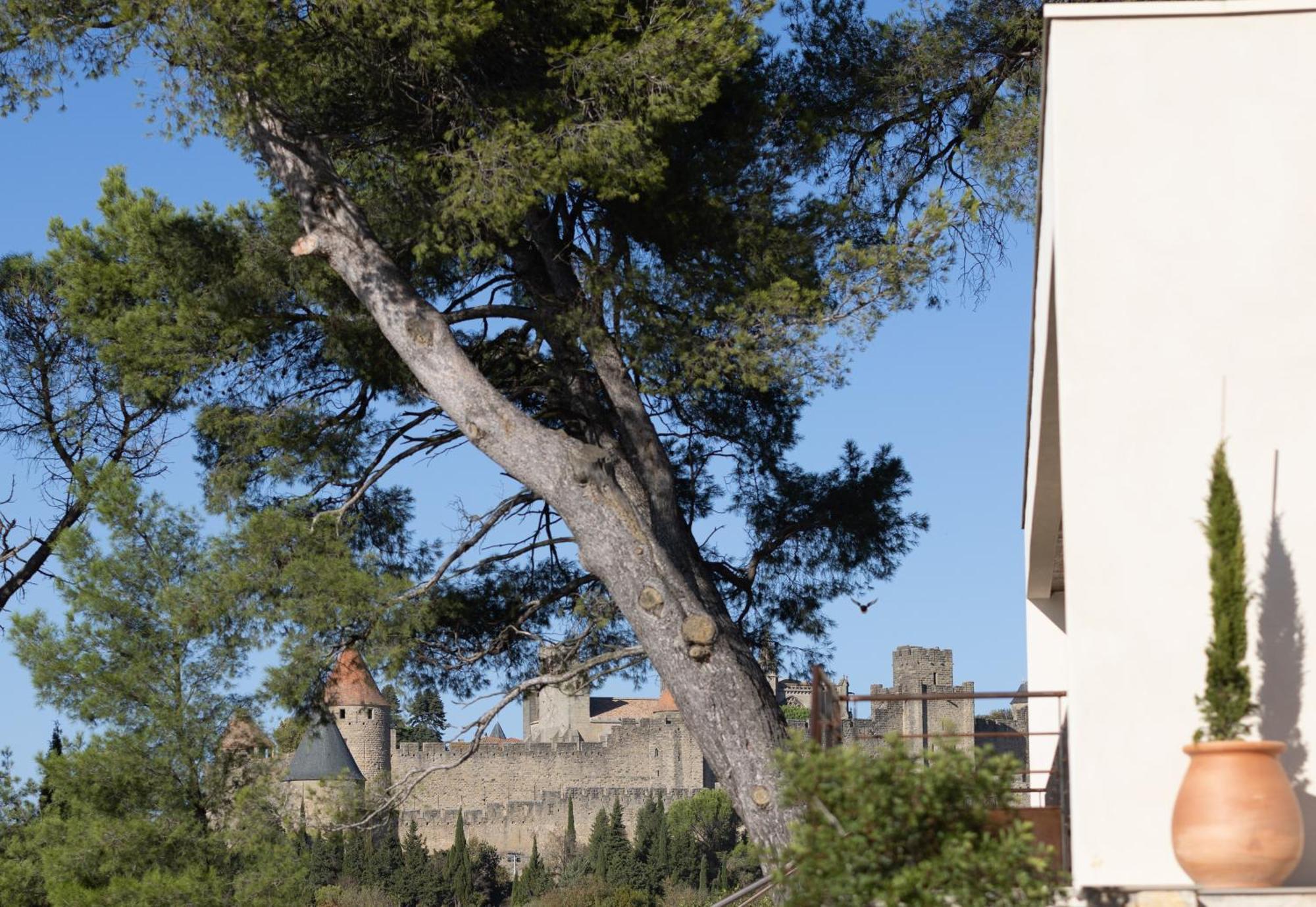 Villa St Francois Piscine Privee Chauffee ,Clim ,Parking Gratuit Carcassonne Bagian luar foto