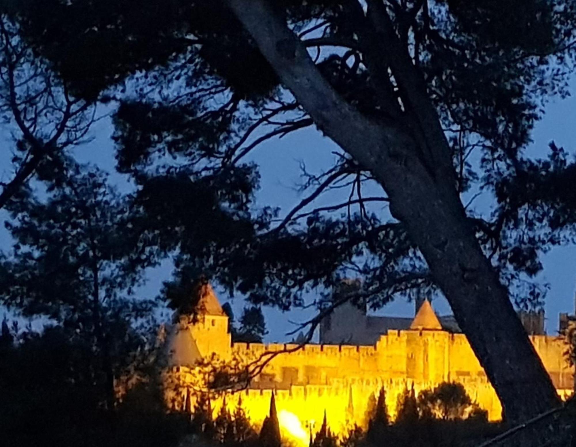 Villa St Francois Piscine Privee Chauffee ,Clim ,Parking Gratuit Carcassonne Bagian luar foto
